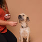 Licky Tallow Treat & Pill Wrap