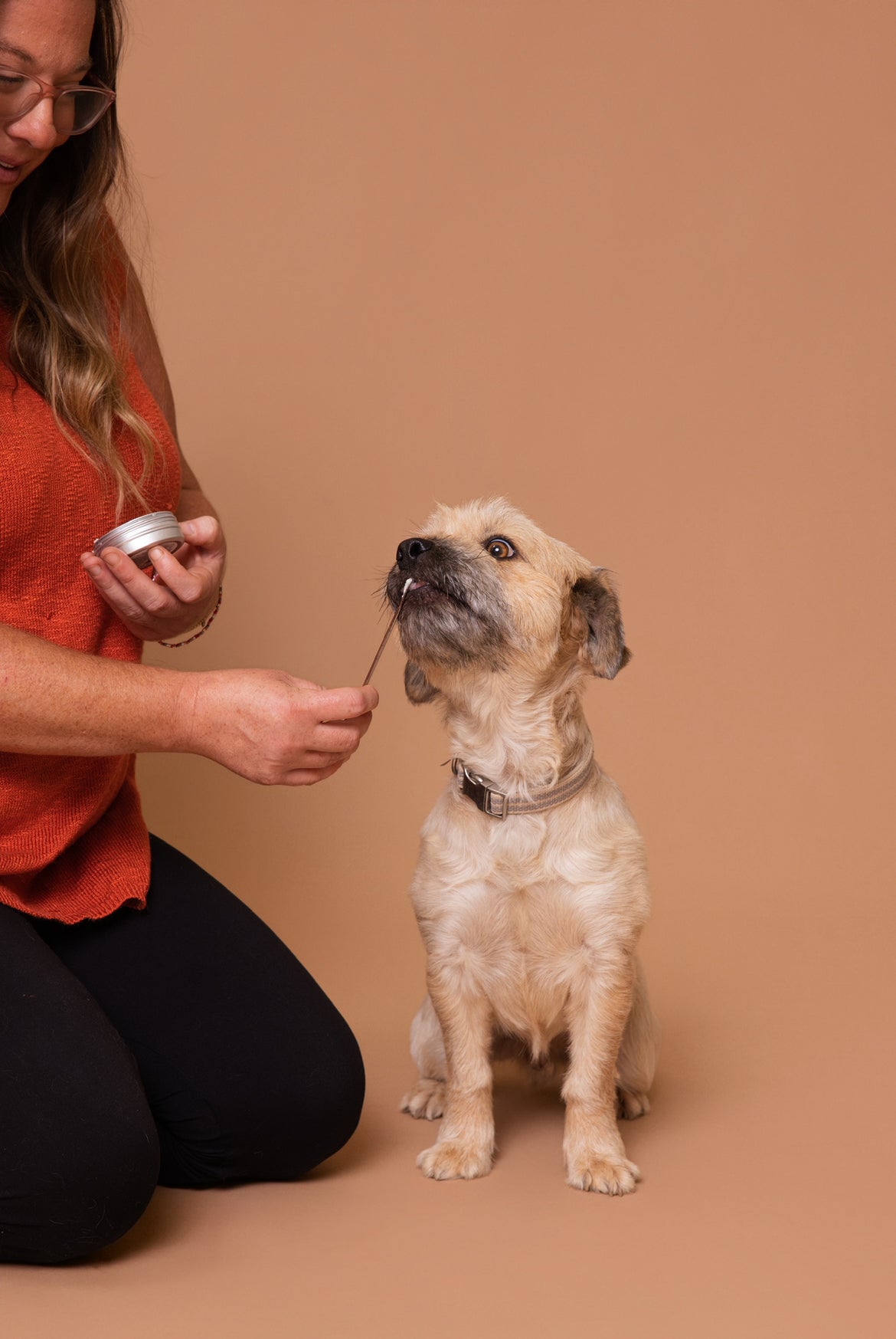 Licky Tallow Treat & Pill Wrap