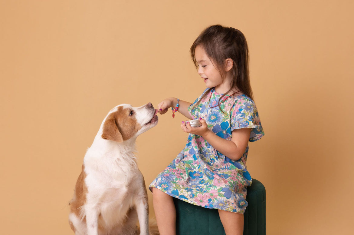 Licky Tallow Treat & Pill Wrap