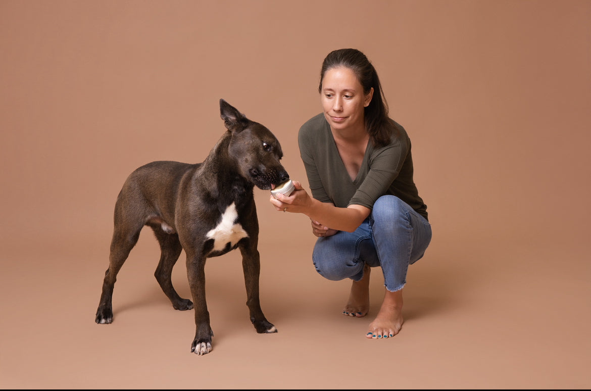 Licky Tallow Treat & Pill Wrap