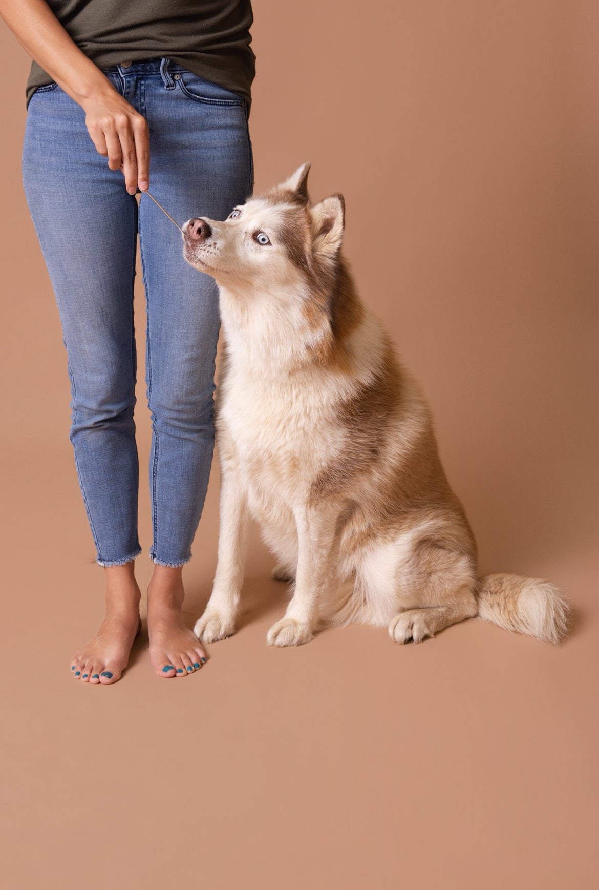 Licky Tallow Treat & Pill Wrap
