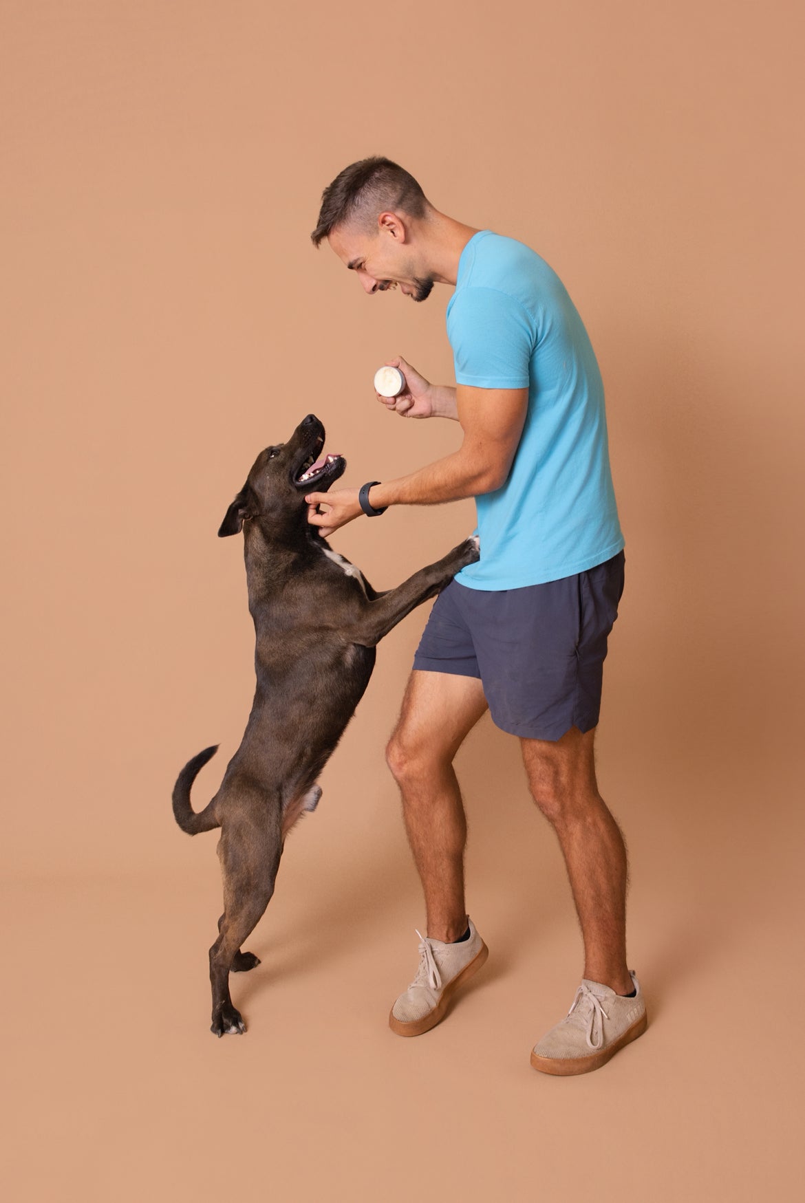 Licky Tallow Treat & Pill Wrap
