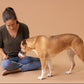 Licky Tallow Treat & Pill Wrap