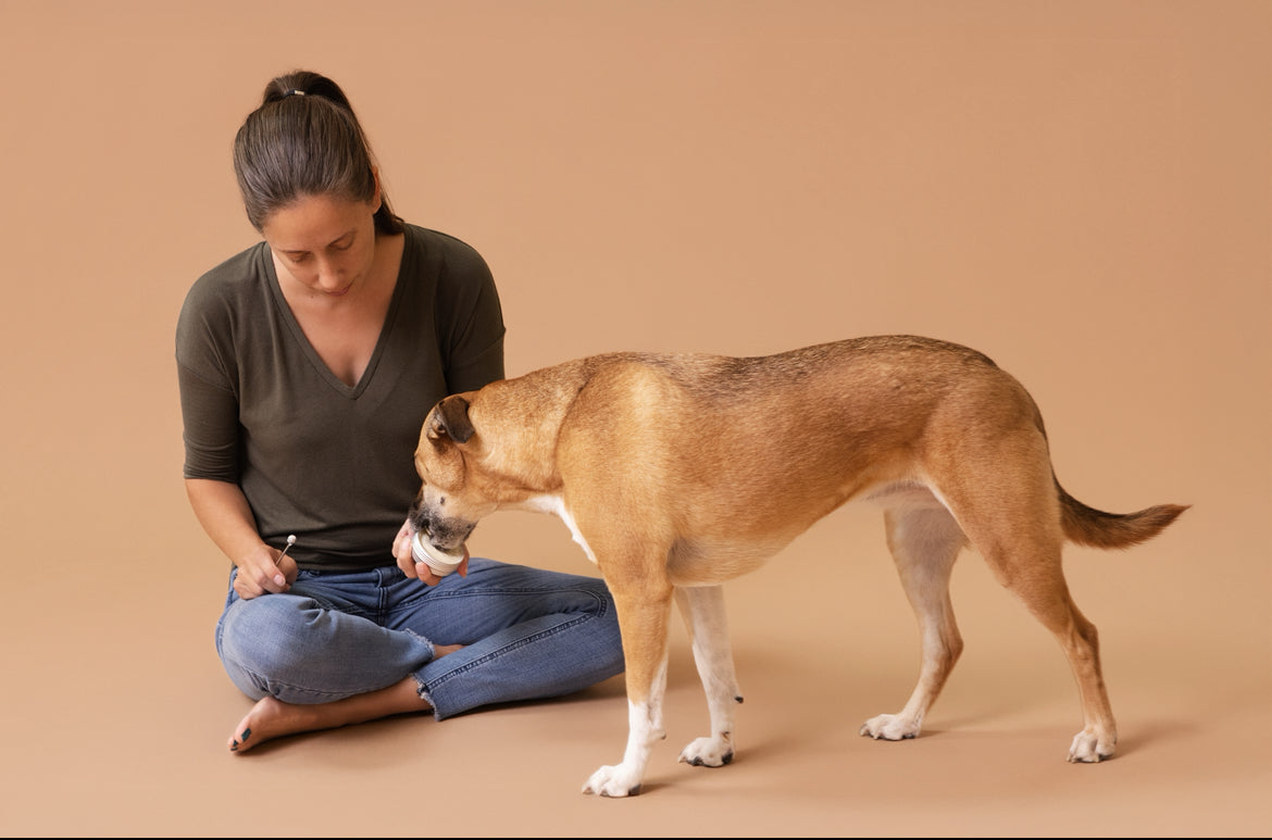 Licky Tallow Treat & Pill Wrap