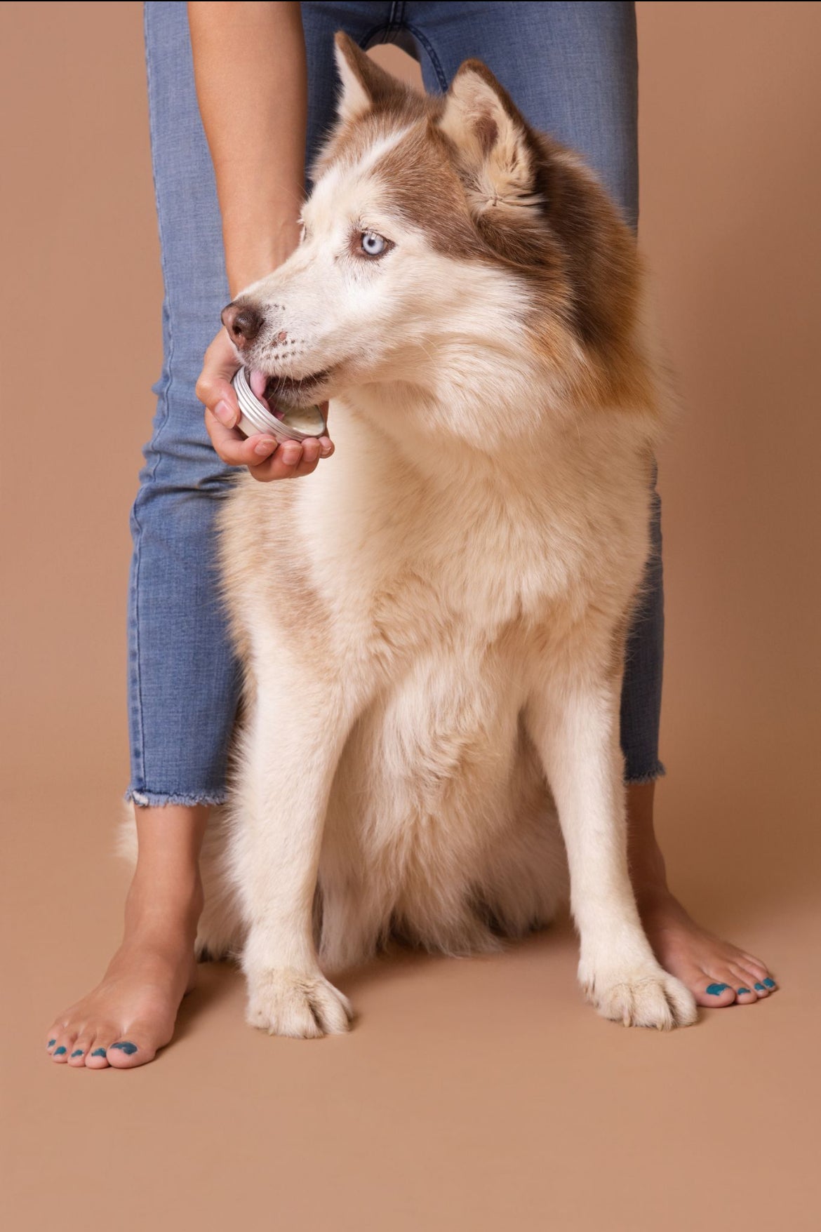 Licky Tallow Treat & Pill Wrap