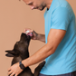 Licky Tallow Treat & Pill Wrap