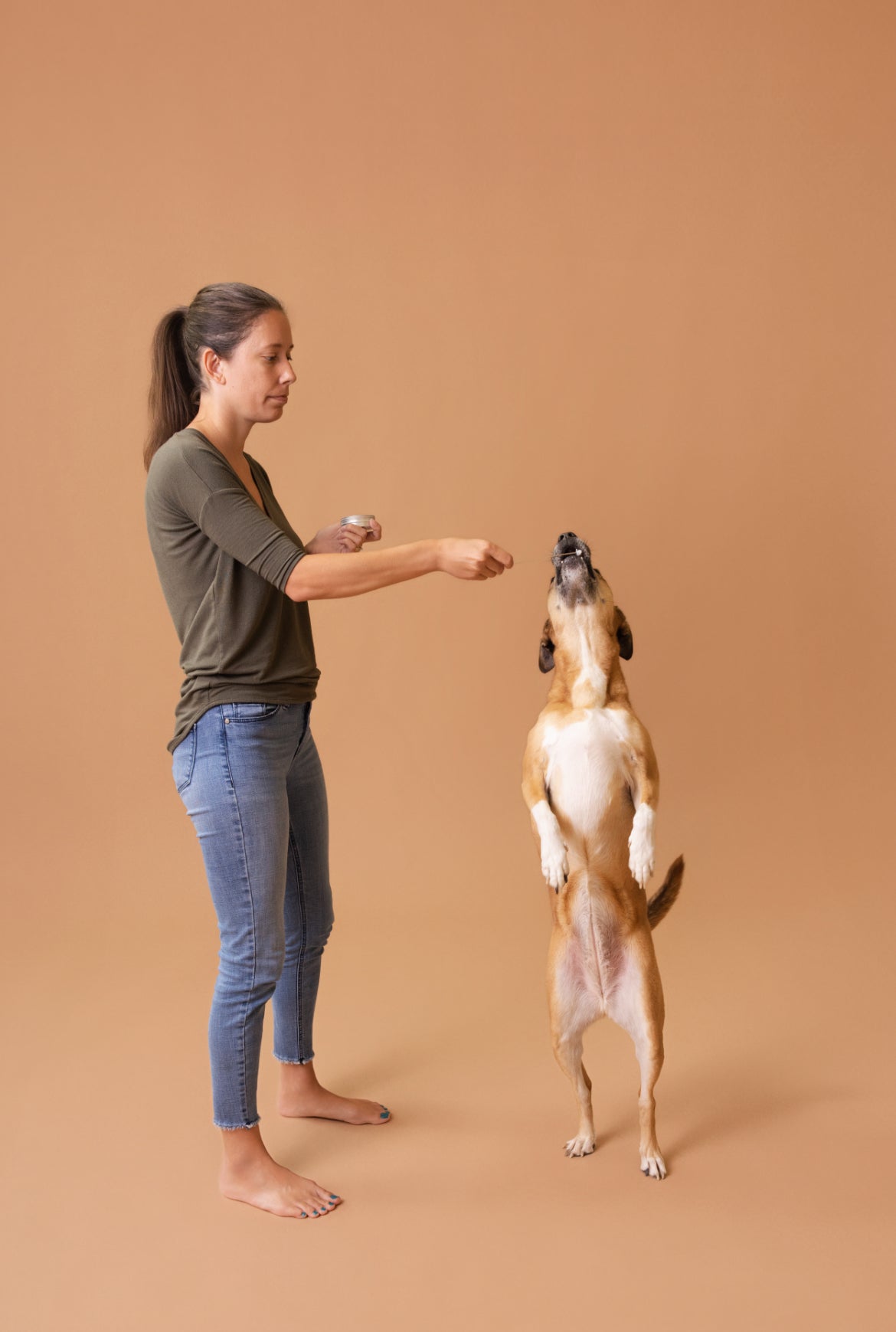 Licky Tallow Treat & Pill Wrap