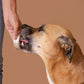 Licky Tallow Treat & Pill Wrap