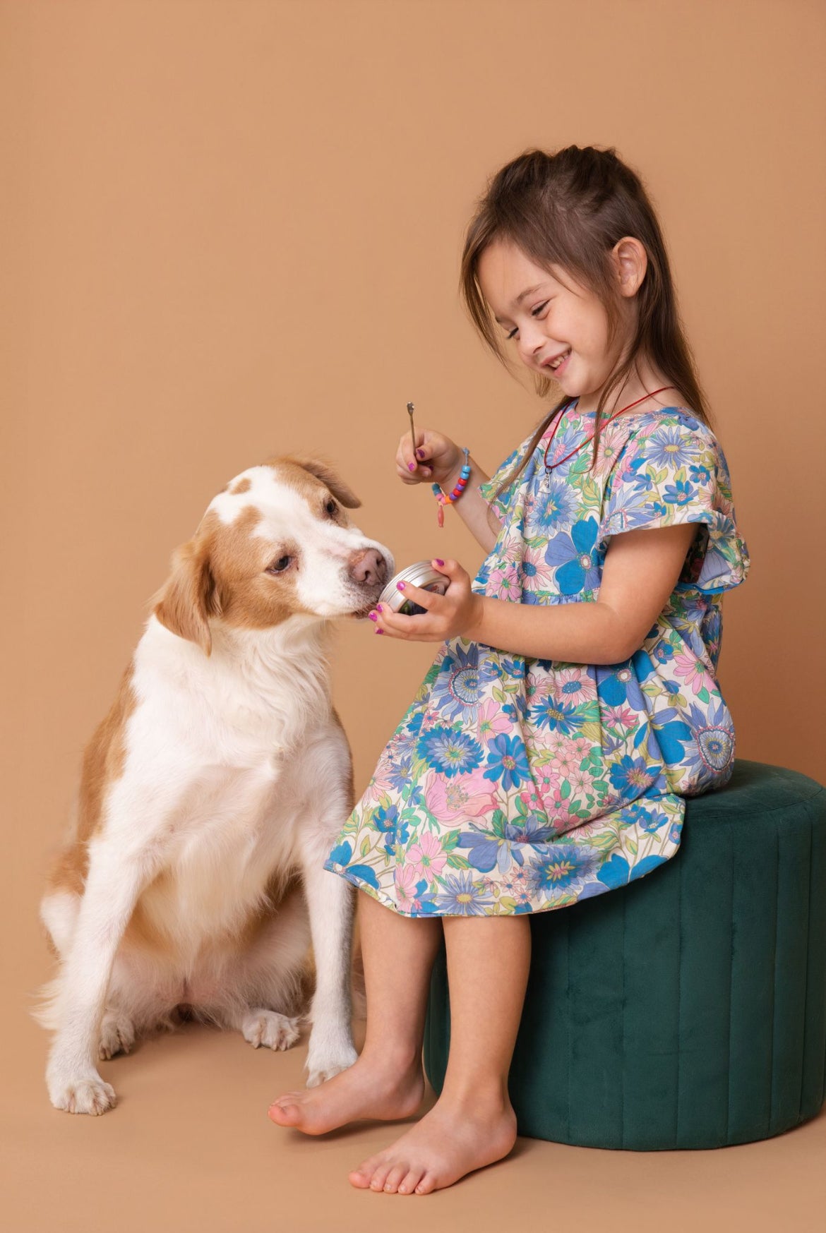Licky Tallow Treat & Pill Wrap