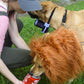 Licky Tallow Treat & Pill Wrap